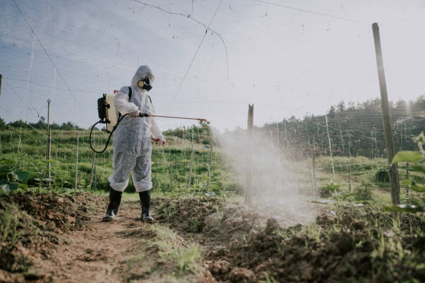 Best Mosquito Control Services  in Watsonville, CA