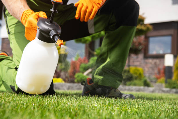 Pest Control for Restaurants in Watsonville, CA