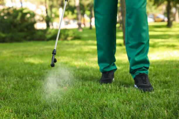 Best Emergency Pest Control  in Watsonville, CA