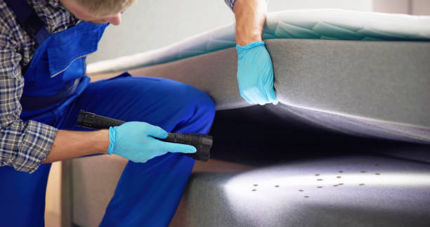 Best Local Pest Control Services  in Watsonville, CA