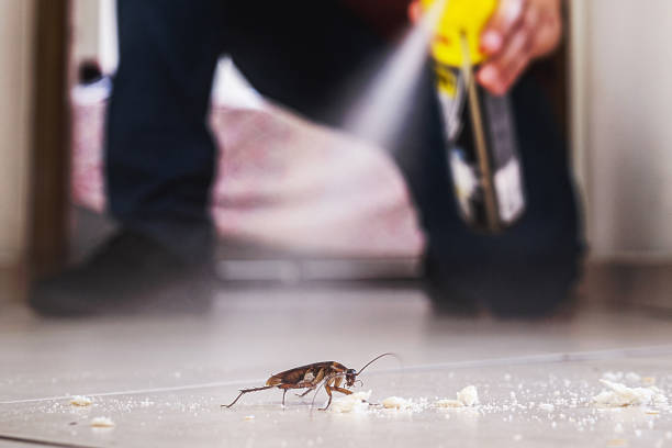 Best Wildlife Control Services  in Watsonville, CA