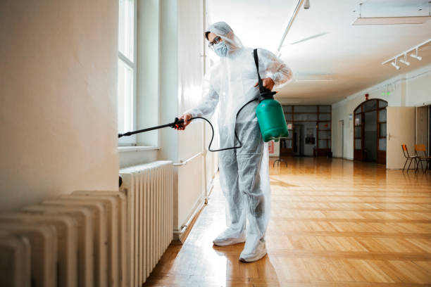 Best Termite Control Services  in Watsonville, CA