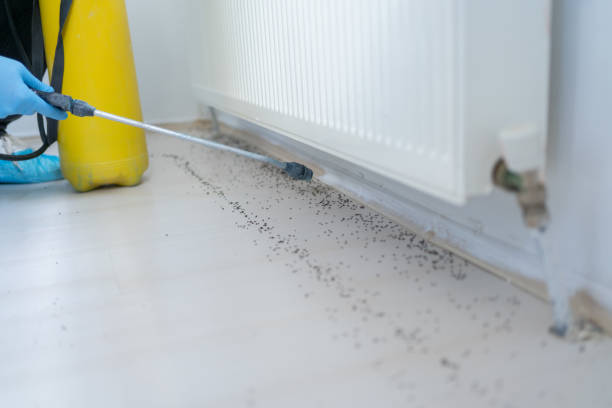 Best Pest Control for Restaurants  in Watsonville, CA