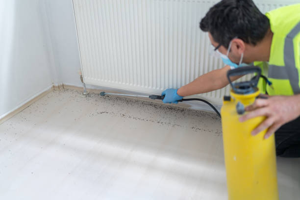 Best Affordable Pest Control Services  in Watsonville, CA