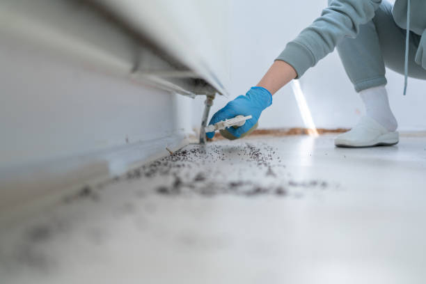 Best Best Pest Control Companies  in Watsonville, CA