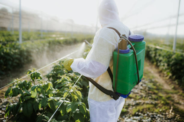 Reliable Watsonville, CA Pest Control Solutions